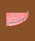 Pink acrylic corner shelf with silver rail – stylish wall-mounted bathroom and kitchen organizer.